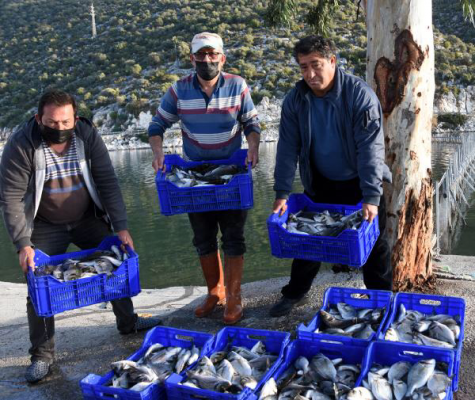 Beymelek Dalyanı, doğal yaşam alanı Beymelek Dalyanı, doğal yaşam alanı