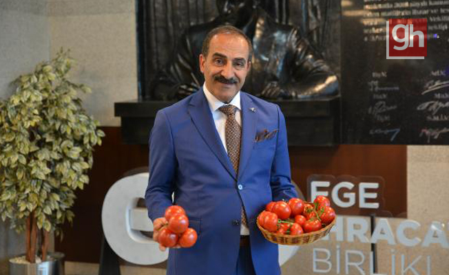 Rusya'nın 50 bin tonluk ek domates kotası sevindirdi