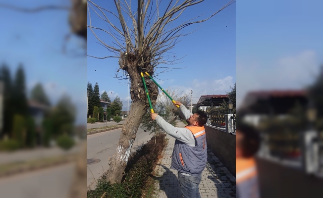 Döşemealtı'nda 120 parkta budama ve bakım yapıldı 