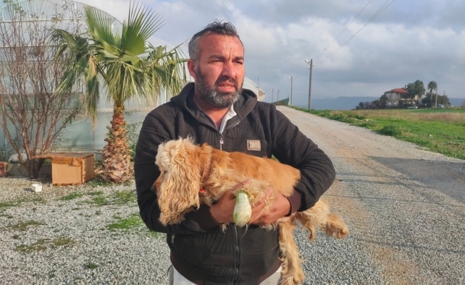 Elinde tüfekle köpeği kovaladı!