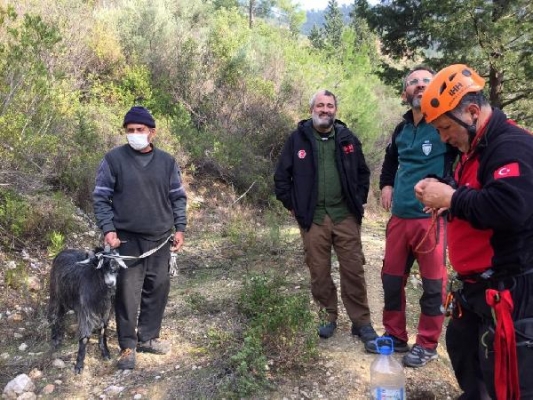 Kayalıklarda mahsur kalan keçi kurtarıldı