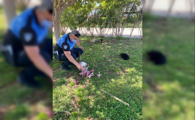 Polis sokak hayvanlarını unutmadı