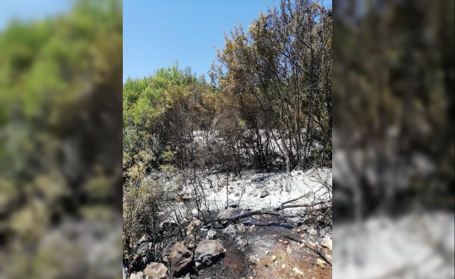 Vatandaşlar yangını büyümeden söndürdü