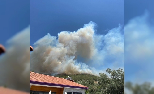 Antalya'nın Kaş ilçesinde orman yangını