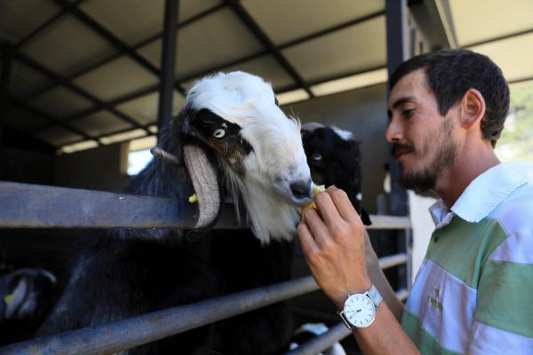 20 keçiyle kurduğu çiftlikte siparişlere yetişemiyor