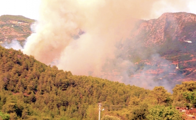 Alanya'da orman yangını kontrol altına alındı