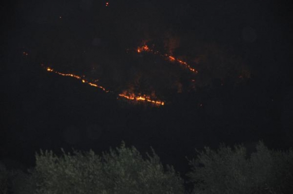 Gazipaşa’da 4 farklı noktada orman yangını