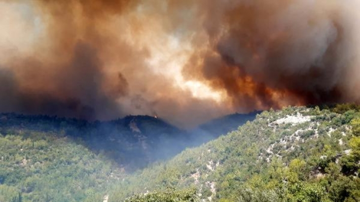 Manavgat'ta 4 ayrı noktada orman yangını 