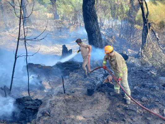 Kumluca’da çıkan orman yangını söndürüldü