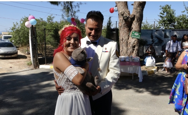 Veteriner teknikeri barınakta evlendi