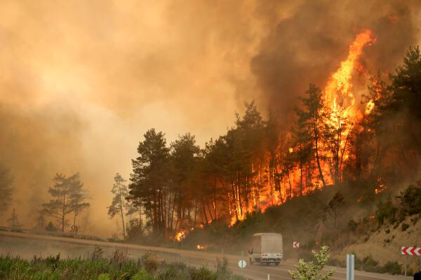 Yangının acı bilançosu: 60 bin hektar kül oldu