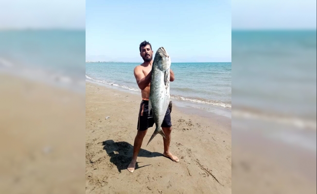 14 kiloluk liça balığı avladılar