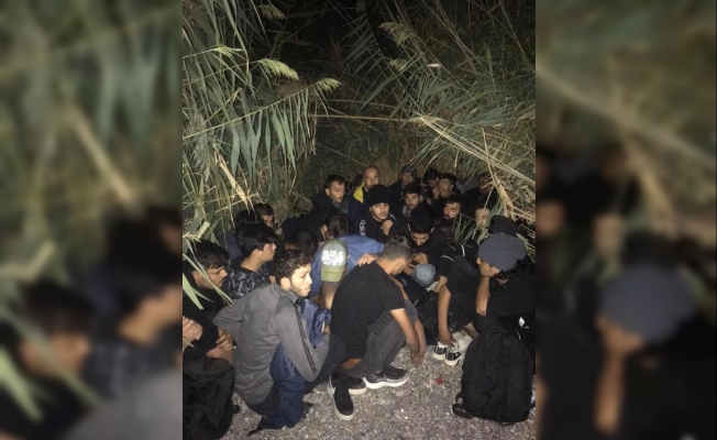Sazlıklar arasında saklanan 28 kaçak göçmen yakalandı
