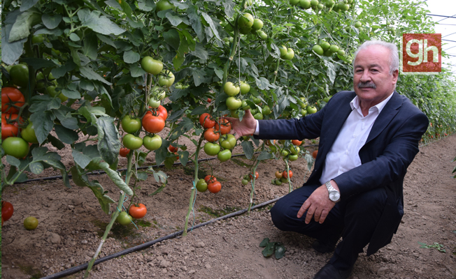 Şahin, tarım bizim için çok önemli