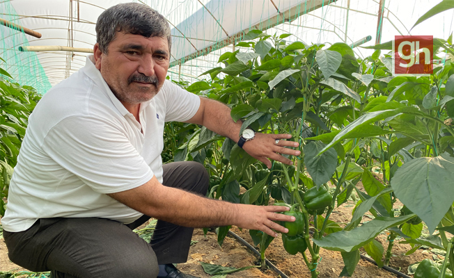 "Umudumuz ve hayallerimiz yıkılmasın"