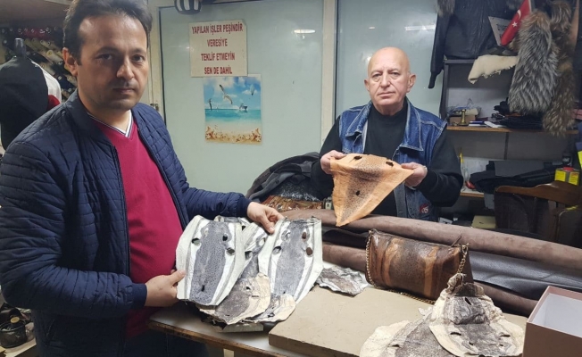 Balon balığı kadın çantası oldu, cüzdan, cep telefonu ve bilgisayar kılıfı yolda Balon balığı kadın çantası oldu, cüzdan, cep telefonu ve bilgisayar kılıfı yolda