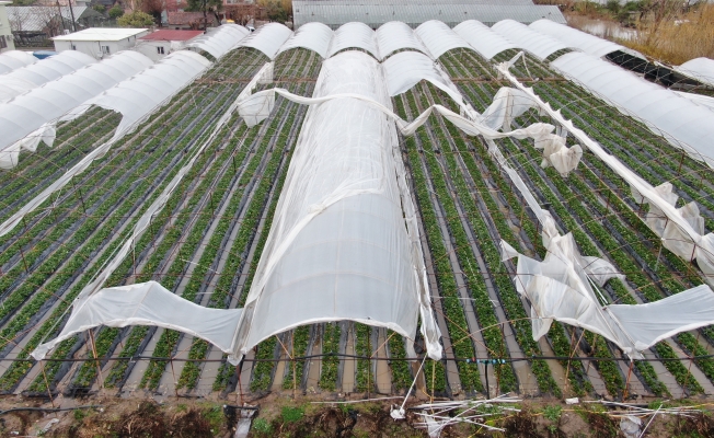 Hortumun vurduğu seralarda çitçinin hasar tamiri mesaisi başladı