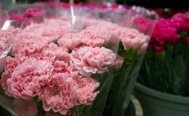 Kesme çiçek sektöründe Sevgililer Günü bereketi