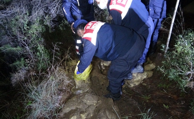Ormanlık alanda ağzı bağlanıp gömülmüş ceset bulundu! Ormanlık alanda ağzı bağlanıp gömülmüş ceset bulundu!