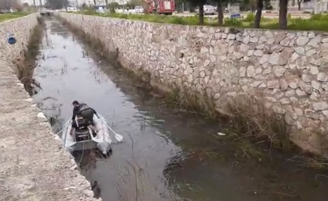 Antalya’da kanala düşen köpek, ekipleri peşine taktı