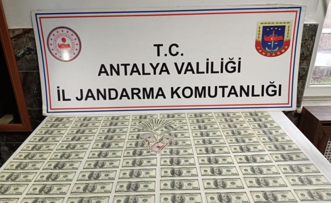 Sahte dolar operasyonunda 2 gözaltı