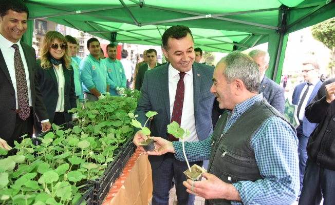 Vatandaşlara su kabağı fidesi dağıtacak