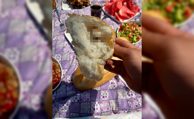 Piknikte ekmeği böldüklerinde hayatlarının şokunu yaşadılar Piknikte ekmeği böldüklerinde hayatlarının şokunu yaşadılar