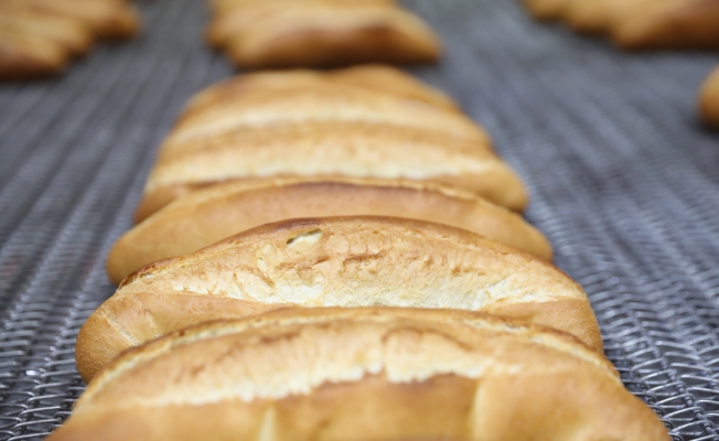 Halk Ekmek üretime geçti