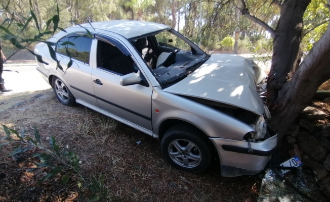 Virajı alamayan otomobil ağaca çarptı: 1 yaralı