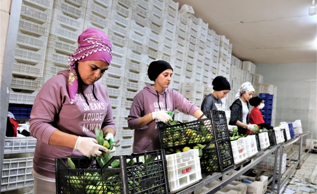 Tarım ürünleri ihracatı yeniden başladı