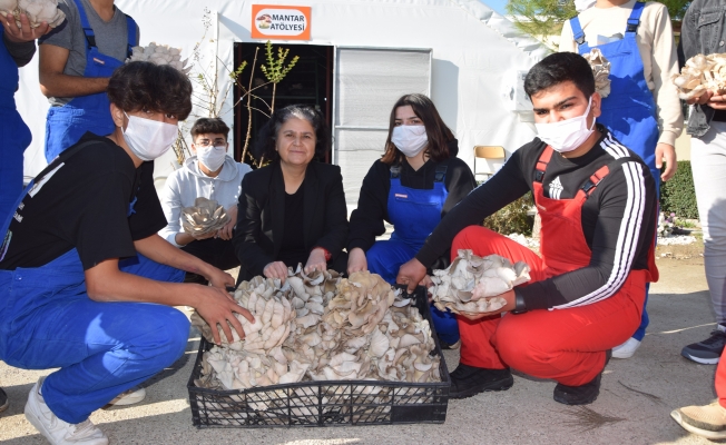  Aksu'da lise öğrencileri ürettikleri istiridye mantarının ilk hasadını yaptı