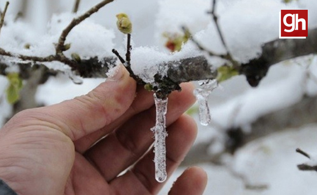 Meteoroloji ‘Zirai Don’ uyarısı verdi