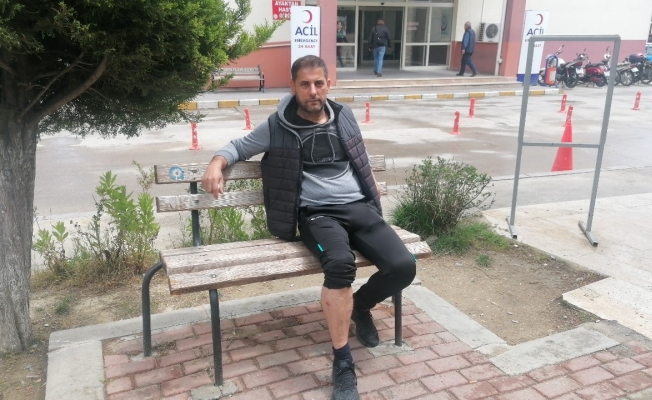 Seçmen bilgi kağıdı dağıtan muhtar, sokak köpeklerinin saldırısına uğradı Seçmen bilgi kağıdı dağıtan muhtar, sokak köpeklerinin saldırısına uğradı