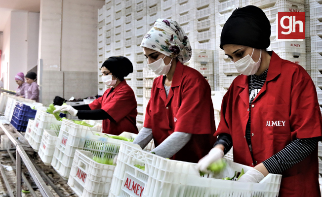 Antalya’da Nisan ayı ihracatı 238,4 milyon dolar oldu Antalya’da Nisan ayı ihracatı 238,4 milyon dolar oldu
