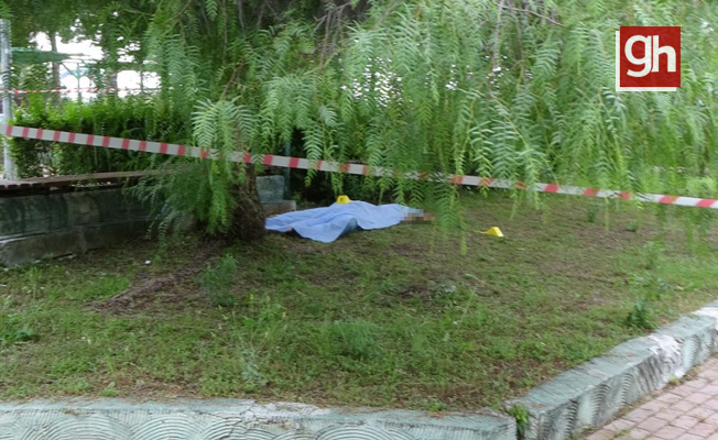 Başından vurulmuş halde ölü bulundu Başından vurulmuş halde ölü bulundu
