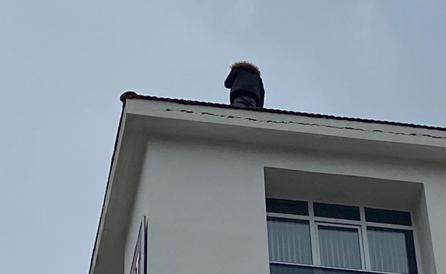 Çatıya çıkıp ekiplere zor anlar yaşattı! Çatıya çıkıp ekiplere zor anlar yaşattı!