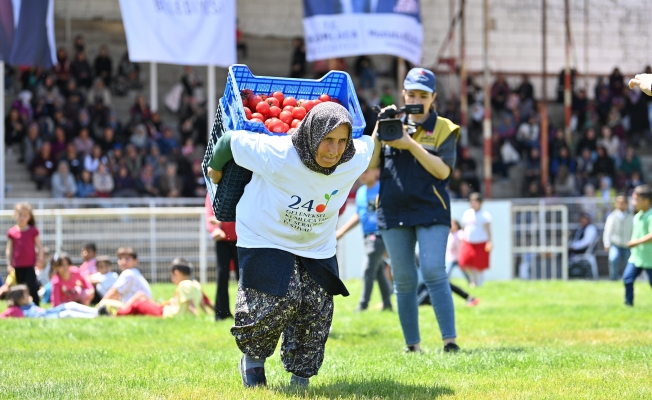 Kasalarla domatesi sırtlarında 40 metre taşıyıp finiş çizgisine ulaştılar Kasalarla domatesi sırtlarında 40 metre taşıyıp finiş çizgisine ulaştılar