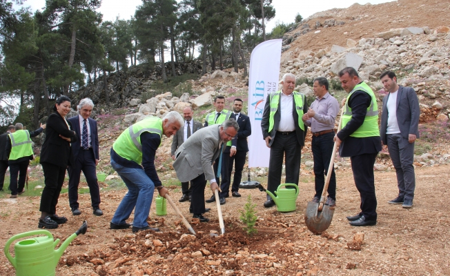 Terk edilmiş mermer ocağı rehabilite edilerek ağaçlandırıldı Terk edilmiş mermer ocağı rehabilite edilerek ağaçlandırıldı