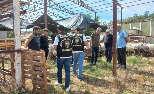 Antalya'da kurban pazarlarında dolandırıcılık uyarısı