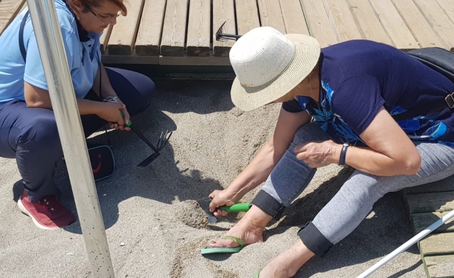 Alanya'da yuvadan çıkamayan caretta carettalar için seferberlik