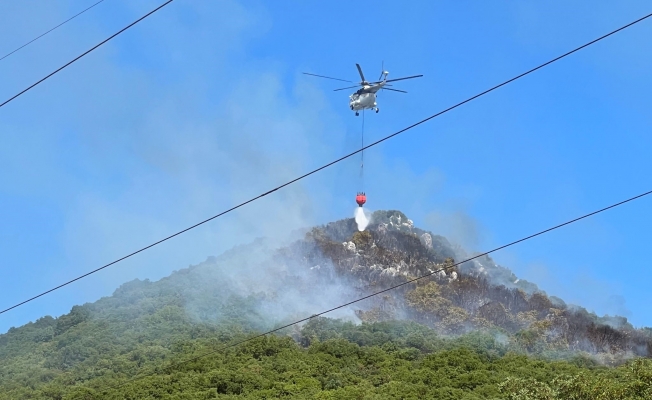 Antalya'nın Demre ilçesindeki orman yangınına havadan ve karadan müdahale ediliyor