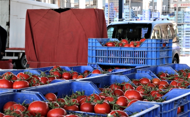 Antalya’da domates miktarı azaldı, fiyat endeksi arttı