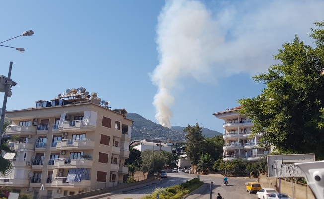 Antalya’da orman yangını