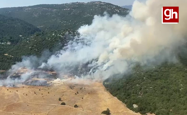 Kaş'ta orman yangını başladı Kaş'ta orman yangını başladı