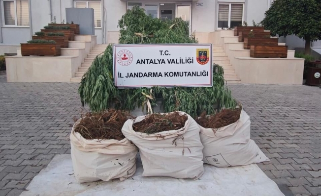 Serik’te jandarmadan uyuşturucu operasyonu: 3 gözaltı Serik’te jandarmadan uyuşturucu operasyonu: 3 gözaltı