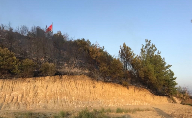 Aksu'da orman yangını Aksu'da orman yangını