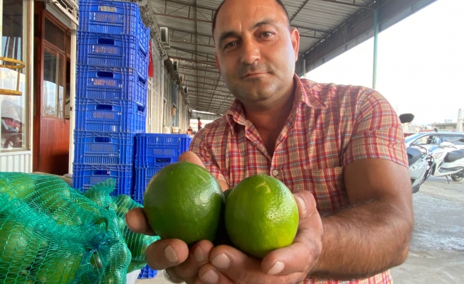 Antalya’da halde limon 3 TL’ye kadar düştü Antalya’da halde limon 3 TL’ye kadar düştü