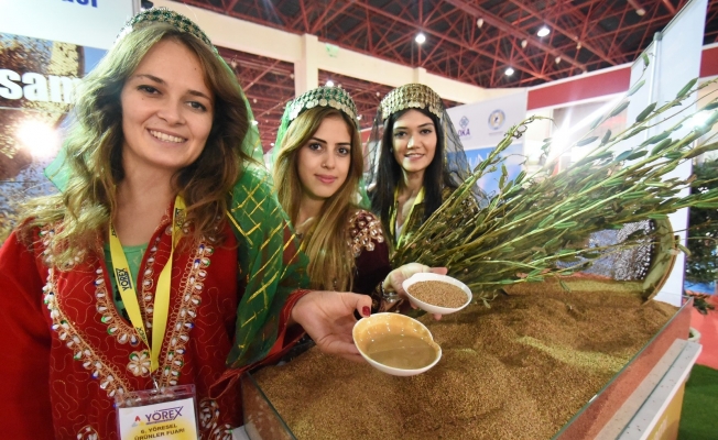 YÖREX şöleni başlıyor