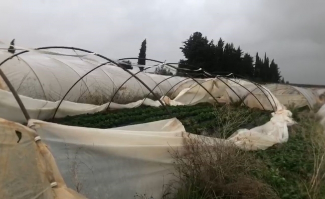 Antalya’da şiddetli yağmur ve fırtına çilek seralarına zarar verdi