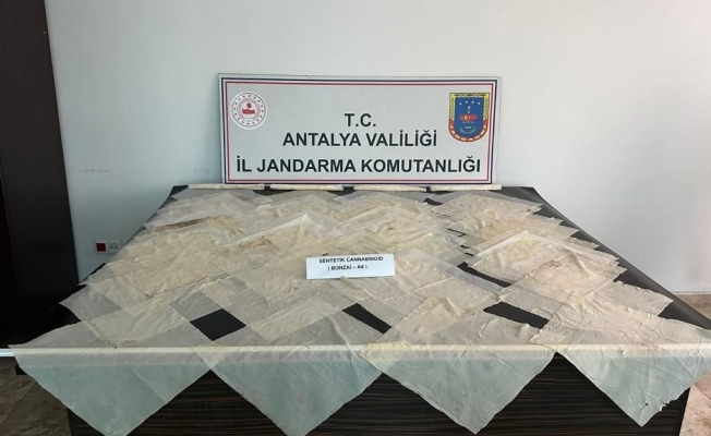 Piyasa değeri 2 milyon TL olan bonzai ele geçirildi Piyasa değeri 2 milyon TL olan bonzai ele geçirildi